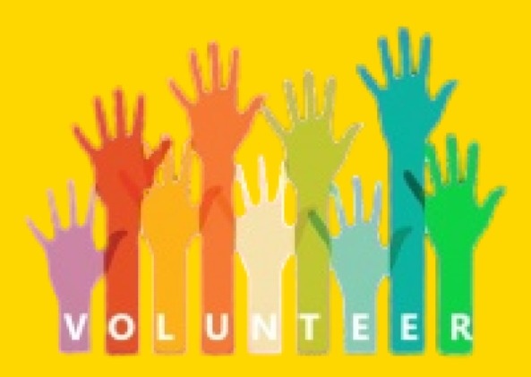 Volunteer